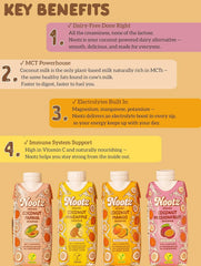 Nootz Organic Coconut Papaya Smoothie 11 Fl Oz, 12 Pack – Blend of Coconut, Papaya and Lime – Clean, Better-For-You, Harmless Ingredients - Natural Hydration with MCTs, Electrolytes and Vitamin C - Vegan, USDA Organic, Kosher & Halal