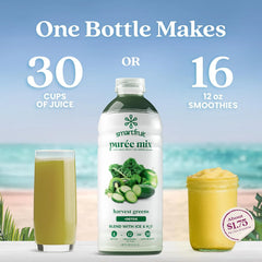 Smartfruit Harvest Greens + Detox – 100% Real Fruit Purée with Kiwi, Cucumber, Kale, Spinach, Lemongrass, Apple & Banana – Great for Smoothies, Juice, Yogurt, Cocktails, Teas & More – 2-Pk, 48oz Each