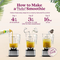 Smartfruit Sunny Banana + Oat Fiber – 100% Real Fruit Purée with Banana, Apple & Pineapple – Great for Smoothies, Juice, Yogurt, Cocktails, Teas & More – High in Vitamin A – 2-Pk, 48oz Each